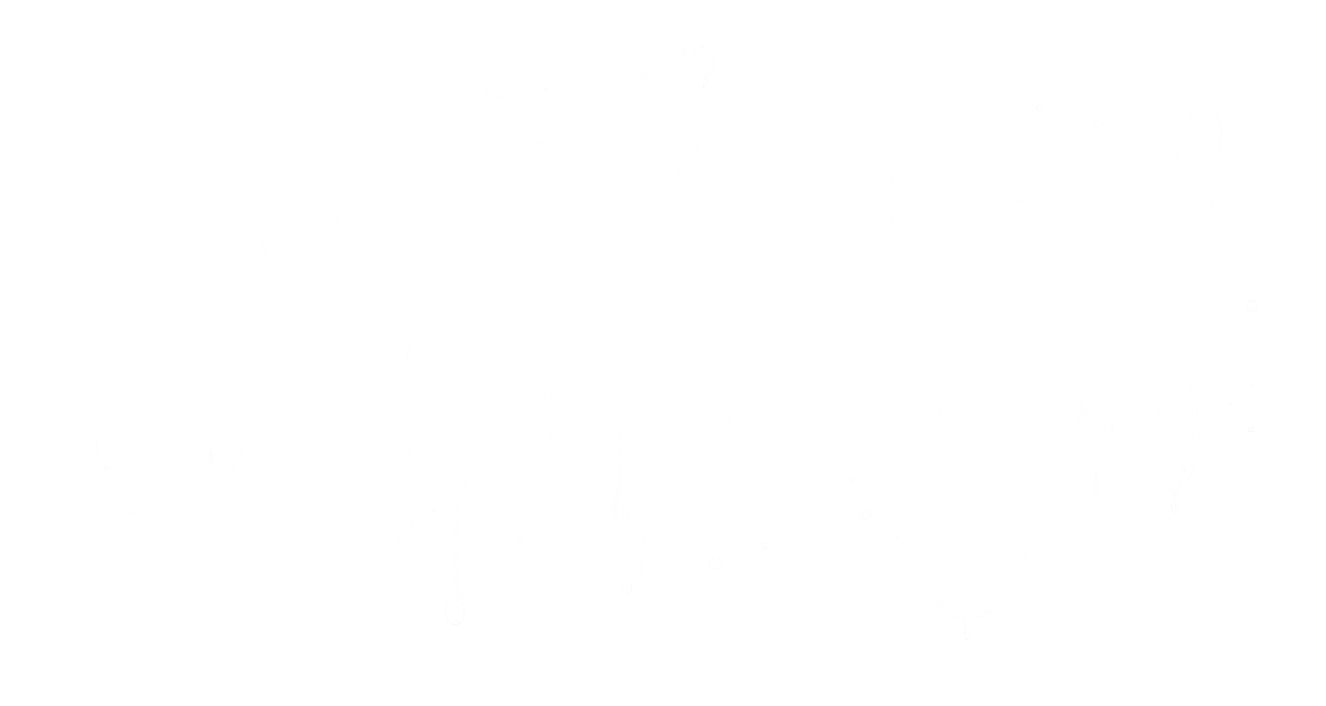 antifrágil